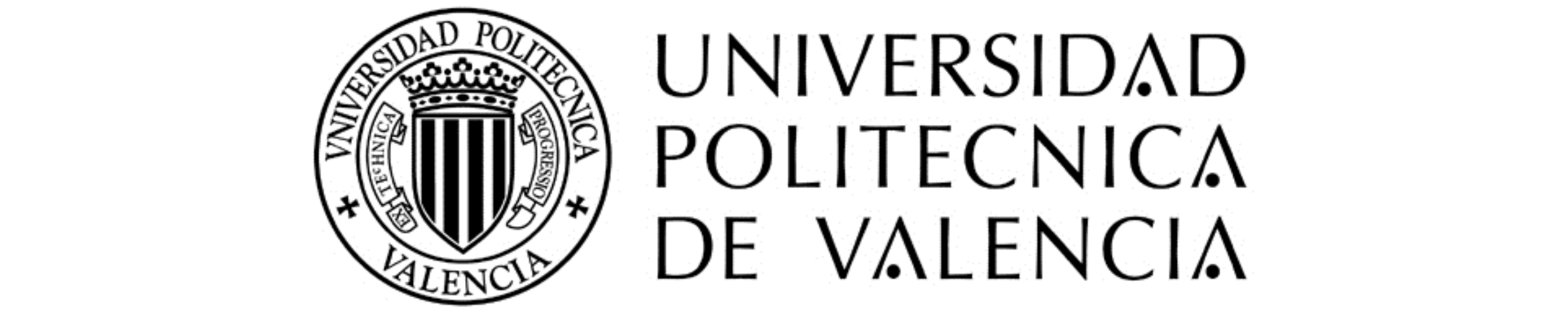 Polytechnical University  of Valencia